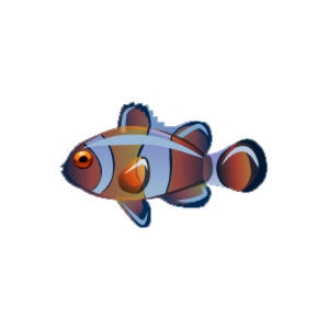 Glass Clownfish